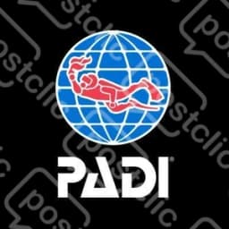 Padi