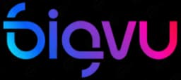 Bigvu