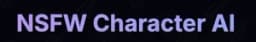Nsfwcharacter.Ai