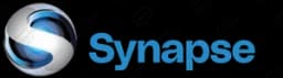 Synapse Group
