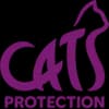 Cats Protection Lottery