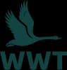 WWT
