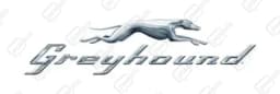 Greyhound