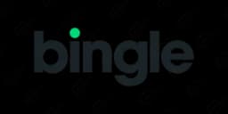 Bingle