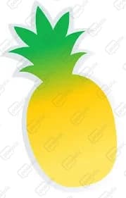 Pineapple