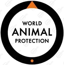 World Animal Protection