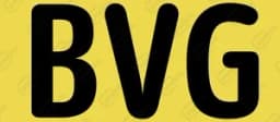 Bvg