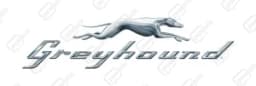 Greyhound