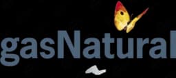 Gas Natural