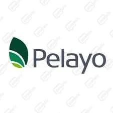 Pelayo