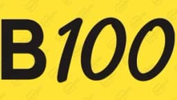 B100