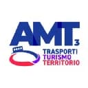 Amt Services