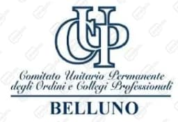 Cup Belluno