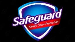 Safeguard