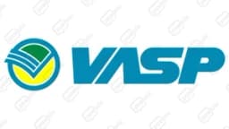 Vasp