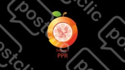 Ppr Seguros