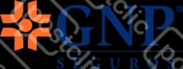 Gnp Seguros