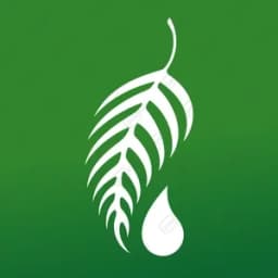 Melaleuca