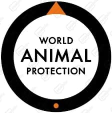 World Animal Protection
