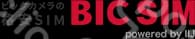 Bic Sim