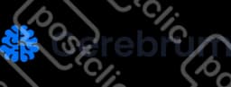 Cerebrum Iq