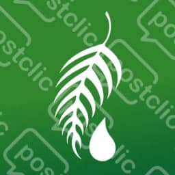 Melaleuca