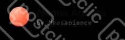 Neonoia