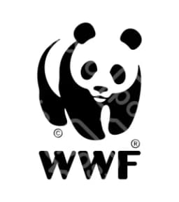 Wwf
